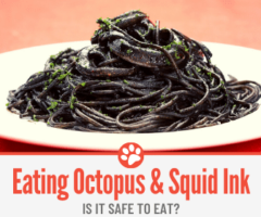 Can You Eat Octopus And Squid Ink (Which One Is Safe)